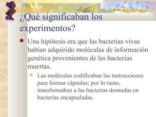¿Qué significaban los
experimentos?
 Una hipótesis era que las bacterias vivas
habían adquirido moléculas de información
genética provenientes de las bacterias
muertas.
 Las moléculas codificaban las instrucciones
para formar cápsulas; por lo tanto,
transformaban a las bacterias desnudas en
bacterias encapsuladas.
 