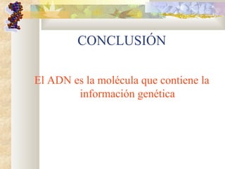 CONCLUSIÓN
El ADN es la molécula que contiene la
información genética
 