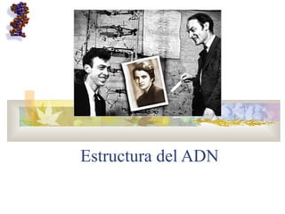 Estructura del ADN
 