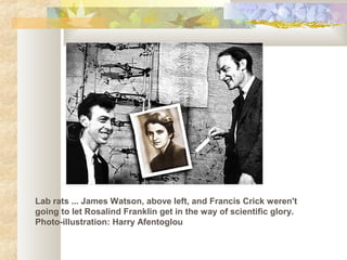 Lab rats ... James Watson, above left, and Francis Crick weren't
going to let Rosalind Franklin get in the way of scientific glory.
Photo-illustration: Harry Afentoglou
 