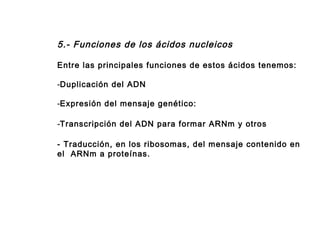 5.- Funciones de los ácidos nucleicos
Entre las principales funciones de estos ácidos tenemos:
-Duplicación del ADN
-Expresión del mensaje genético:
-Transcripción del ADN para formar ARNm y otros
- Traducción, en los ribosomas, del mensaje contenido en
el  ARNm a proteínas.
 