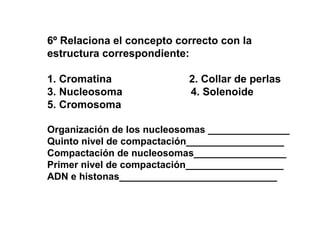 6º Relaciona el concepto correcto con la
estructura correspondiente:
1. Cromatina 2. Collar de perlas
3. Nucleosoma 4. Solenoide
5. Cromosoma
Organización de los nucleosomas _______________
Quinto nivel de compactación__________________
Compactación de nucleosomas_________________
Primer nivel de compactación__________________
ADN e histonas_____________________________
 