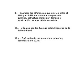 9.- Enumera las diferencias que existen entre el
ADN y el ARN, en cuanto a composición
química, estructura molecular, tamaño y
localización en una célula eucariota.
10.- ¿Cuáles son las fuerzas estabilizadoras de la
doble hélice?
11.- ¿Qué entiende por estructura primaria y
secundaria del ADN?
 