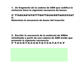 RESPUESTA
5' AAUCGUCAUAUAAACUAAUGUGCCAUCGGGGUA 3'
1. Un fragmento de la cadena de ADN que codifica la
oxitocina tiene la siguiente secuencia de bases:
3‘ TTAGCAGTATATTTGATTACACGGTAGCCCCAT
5'.
Determina la secuencia de bases del trascrito
2. Escribir la secuencia de la molécula de ARNm
sintetizada a partir de una cadena de ADN molde que
presente la siguiente secuencia:
3' T-A-C-G-T-A-C-C-G-T-A-T-C-A-T-A-T-C 5' 
 
RESPUESTA
5' AUG CAU GGC AUA GUA UAG 3'
 
