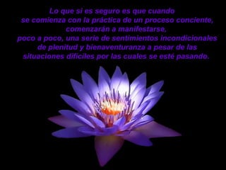 Lo que si es seguro es que cuando
se comienza con la práctica de un proceso conciente,
comenzarán a manifestarse,
poco a poco, una serie de sentimientos incondicionales
de plenitud y bienaventuranza a pesar de las
situaciones difíciles por las cuales se esté pasando.
 