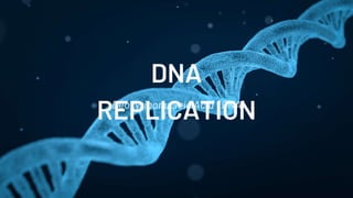 Deoxyribonucleic Acid (DNA)
DNA
REPLICATION
 