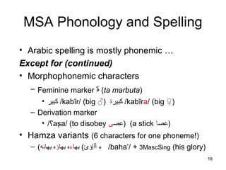 18
MSA Phonology and Spelling
• Arabic spelling is mostly phonemic …
Except for (continued)
• Morphophonemic characters
– Feminine marker ‫ة‬ (ta marbuta)
• ‫كبير‬ /kabīr/ (big ♂) ‫كبير‬‫ة‬ /kabīra/ (big ♀)
– Derivation marker
• / aṣa/ (to disobeyʕ ‫عص‬‫ى‬ ) (a stick ‫عص‬‫ا‬ )
• Hamza variants (6 characters for one phoneme!)
– ( ‫أآإؤئ‬ ‫ء‬(‫بها‬‫ء‬‫بها‬ ‫ه‬‫ؤ‬‫بها‬ ‫ه‬‫ئ‬‫ه‬ /baha’/ + 3MascSing (his glory)
 