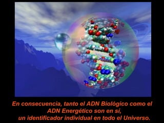 En consecuencia, tanto el ADN Biológico como el
ADN Energético son en sí,
un identificador individual en todo el Universo.
 