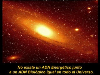 No existe un ADN Energético junto
a un ADN Biológico igual en todo el Universo.
 