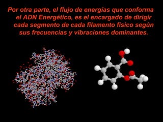 Por otra parte, el flujo de energías que conforma
el ADN Energético, es el encargado de dirigir
cada segmento de cada filamento físico según
sus frecuencias y vibraciones dominantes.
 