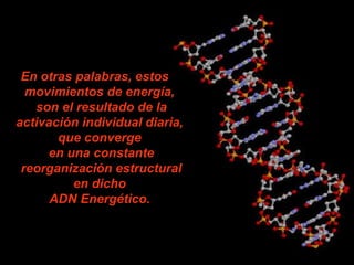 En otras palabras, estos
movimientos de energía,
son el resultado de la
activación individual diaria,
que converge
en una constante
reorganización estructural
en dicho
ADN Energético.
 