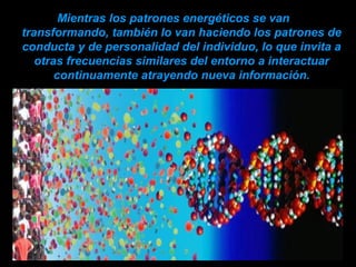 Mientras los patrones energéticos se van
transformando, también lo van haciendo los patrones de
conducta y de personalidad del individuo, lo que invita a
otras frecuencias similares del entorno a interactuar
continuamente atrayendo nueva información.
 