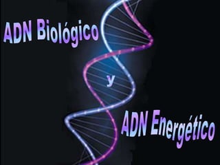 ADN Biológico y ADN Energético 
