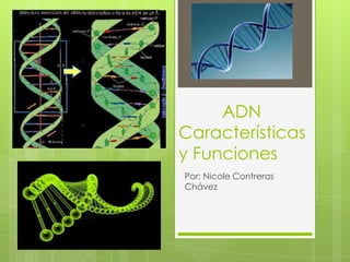 ADN
Características
y Funciones
Por: Nicole Contreras
Chávez
 