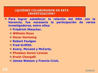 07/05/1510
¿QUIÉNES COLABORARON EN ESTA¿QUIÉNES COLABORARON EN ESTA
INVESTIGACIÓN?INVESTIGACIÓN?
Para lograr establecer la relación del DNA con la
herencia, fue necesaria la participación de varios
investigadores, entre ellos:
Friedrich Miescher.
Wilhelm Roux
Oscar Hertwing
Robert Feulgen
Fred Griffith.
Avery, McLeod y McCarty.
Phoebus Aaron Levene
Erwin Chargaff.
James Watson y Francis Crick.
 