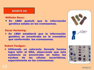 07/05/1512
APORTE DE:APORTE DE:
Wilhelm Roux:
 En 1880 postuló que la información
genética estaba en los cromosomas.
Oscar Hertwing:
En 1884 estableció que la información
genética se encontraba en la cromatina
que conformaba los cromosomas.
Robert Feulgen:
Utilizando un colorante llamado fucsina
logra teñir al DNA, observando que esta
sustancia se encontraba en todos los
núcleos de las células eucarióticas,
especialmente en los cromosomas.
 