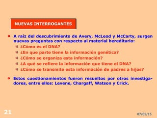 07/05/1521
A raíz del descubrimiento de Avery, McLeod y McCarty, surgen
nuevas preguntas con respecto al material hereditario:
¿Cómo es el DNA?
¿En que parte tiene la información genética?
¿Cómo se organiza esta información?
¿A qué se refiere la información que tiene el DNA?
¿Cómo se transmite esta información de padres a hijos?
NUEVAS INTERROGANTESNUEVAS INTERROGANTES
Estos cuestionamientos fueron resueltos por otros investiga-
dores, entre ellos: Levene, Chargaff, Watson y Crick.
 