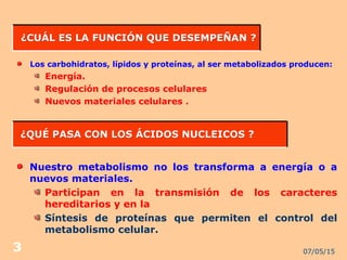 07/05/153
¿CUÁL ES LA FUNCIÓN QUE DESEMPEÑAN ?¿CUÁL ES LA FUNCIÓN QUE DESEMPEÑAN ?
Los carbohidratos, lípidos y proteínas, al ser metabolizados producen:
Energía.
Regulación de procesos celulares
Nuevos materiales celulares .
¿QUÉ PASA CON LOS ÁCIDOS NUCLEICOS ?¿QUÉ PASA CON LOS ÁCIDOS NUCLEICOS ?
Nuestro metabolismo no los transforma a energía o a
nuevos materiales.
Participan en la transmisión de los caracteres
hereditarios y en la
Síntesis de proteínas que permiten el control del
metabolismo celular.
 
