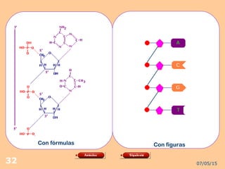 07/05/1532
Con fórmulas Con figuras
 