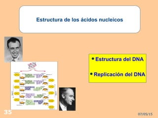07/05/1535
Estructura de los ácidos nucleicos
Estructura del DNA
Replicación del DNA
 