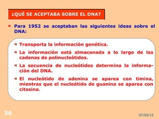 07/05/1536
¿QUÉ SE ACEPTABA SOBRE EL DNA?¿QUÉ SE ACEPTABA SOBRE EL DNA?
Para 1952 se aceptaban las siguientes ideas sobre el
DNA:
Transporta la información genética.
La información está almacenada a lo largo de las
cadenas de polinucleótidos.
La secuencia de nucleótidos determina la informa-
ción del DNA.
El nucleótido de adenina se aparea con timina,
mientras que el nucleótido de guanina se aparea con
citosina.
 