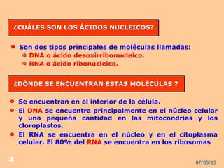 07/05/154
¿CUÁLES SON LOS ÁCIDOS NUCLEICOS?¿CUÁLES SON LOS ÁCIDOS NUCLEICOS?
Son dos tipos principales de moléculas llamadas:
DNA o ácido desoxirribonucleico.
RNA o ácido ribonucleico.
¿DÓNDE SE ENCUENTRAN ESTAS MOLÉCULAS ?¿DÓNDE SE ENCUENTRAN ESTAS MOLÉCULAS ?
Se encuentran en el interior de la célula.
El DNA se encuentra principalmente en el núcleo celular
y una pequeña cantidad en las mitocondrias y los
cloroplastos.
El RNA se encuentra en el núcleo y en el citoplasma
celular. El 80% del RNA se encuentra en los ribosomas
 