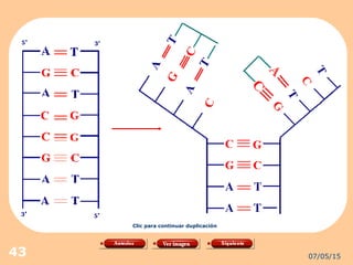 07/05/1543
Clic para continuar duplicación
 