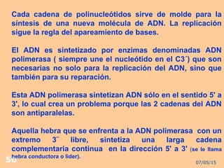 07/05/1550
Cada cadena de polinucleótidos sirve de molde para la
síntesis de una nueva molécula de ADN. La replicación
sigue la regla del apareamiento de bases.
El ADN es sintetizado por enzimas denominadas ADN
polimerasa ( siempre une el nucleótido en el C3´) que son
necesarias no solo para la replicación del ADN, sino que
también para su reparación.
Esta ADN polimerasa sintetizan ADN sólo en el sentido 5' a
3', lo cual crea un problema porque las 2 cadenas del ADN
son antiparalelas.
Aquella hebra que se enfrenta a la ADN polimerasa con un
extremo 3¨ libre, sintetiza una larga cadena
complementaria continua en la dirección 5' a 3' (se le llama
hebra conductora o lider).
 