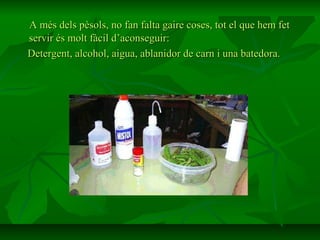A més dels pèsols, no fan falta gaire coses, tot el que hem fet
servir és molt fàcil d’aconseguir:
Detergent, alcohol, aigua, ablanidor de carn i una batedora.
 