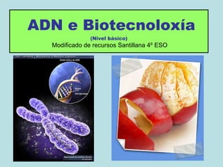 ADN e Biotecnoloxía (Nivel básico)   Modificado de recursos Santillana 4º ESO 
