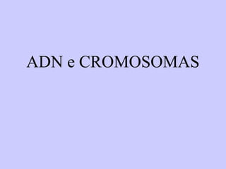ADN e CROMOSOMAS
 