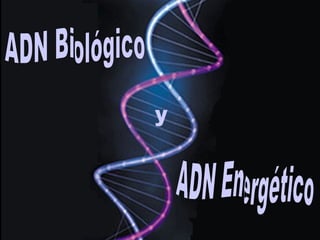 ADN Biológico ADN Energético y 