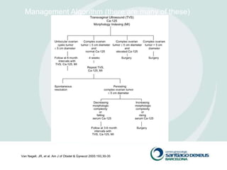 Management Algorithm (there are many of these)




Van Nagell, JR, et al. Am J of Obstet & Gynecol 2005:193,30-35
 