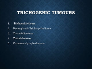 TUMOURS WITH PREDOMINANT
SMALL/
BASALOID ELEMENTS
• Trichoblastoma/trichoepithelioma
• Pilomatricoma
• Sebaceous tumours
•...