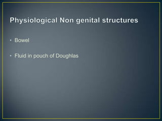 • Bowel

• Fluid in pouch of Doughlas
 
