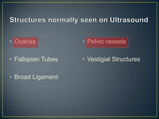 • Ovaries           • Pelvic vessels

• Fallopian Tubes   • Vestigial Structures

• Broad Ligament
 