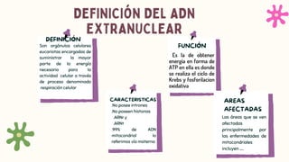Extranuclear ADN extranuclear - Ciencias de la naturaleza | PDF