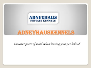 Adneyhauskennels
Discover peace of mind when leaving your pet behind
 