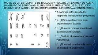 MARIO ES UN ESTUDIANTE DE BIOLOGÍA Y REALIZÓ UN EXAMEN DE ADN A
UN GRUPO DE PERSONAS. AL REVISAR EL RESULTADO DE SU ESTUDIO,
OBTUVO UNA IMAGEN DE CARIOTIPO COMO LA INDICADA A CONTINUACIÓN:
• A partir de estos resultados,
responde las siguientes preguntas:
• a. ¿Cómo se denomina esta
organización? Explica.
• b. ¿Cuántos cromosomas tiene?
Explica tus resultados.
• c. ¿Cuál es el sexo cromosómico?
Argumenta.
• d. ¿Qué síndrome tiene la persona
en estudio? Fundamenta.
 