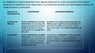 • La ovogénesis y la espermatogénesis tienen algunas diferencias en cuanto a la duración de las etapas,
distribución de citoplasma de las células hijas y a la modificación de éstas, pero tienen etapas similares, las
cuales se indican a continuación
Etapas de la
Gametogénesis
OVOGÉNESIS ESPERMATOGÉNESIS
Proliferación
(Mitosis)
Ocurre solamente en la etapa
embrionaria. En esta etapa las
células germinales primordiales
(CPG) se dividen por mitosis
dando origen a los ovogonios
(2n y 2c)
Comienza en la etapa embrionaria pero se
detiene, para continuar en la pubertad. En
esta etapa las CPG se dividen por mitosis
dando dan origen a los espermatogonios (2n
y 2c)
Crecimiento Ocurre solamente en la etapa
embrionaria. En esta etapa los
ovogonios crecen, aumentan de
tamaño y duplican su material
genético; transformándose en
ovocitos I (2n y 4c)
Comienza en la pubertad. En esta etapa los
espermatogonios crecen, aumentan de
tamaño y duplican su material genético
transformándose en espermatocitos I (2n y
4c)
 