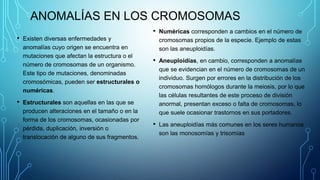 ANOMALÍAS EN LOS CROMOSOMAS
• Existen diversas enfermedades y
anomalías cuyo origen se encuentra en
mutaciones que afectan la estructura o el
número de cromosomas de un organismo.
Este tipo de mutaciones, denominadas
cromosómicas, pueden ser estructurales o
numéricas.
• Estructurales son aquellas en las que se
producen alteraciones en el tamaño o en la
forma de los cromosomas, ocasionadas por
pérdida, duplicación, inversión o
translocación de alguno de sus fragmentos.
• Numéricas corresponden a cambios en el número de
cromosomas propios de la especie. Ejemplo de estas
son las aneuploidías.
• Aneuploidías, en cambio, corresponden a anomalías
que se evidencian en el número de cromosomas de un
individuo. Surgen por errores en la distribución de los
cromosomas homólogos durante la meiosis, por lo que
las células resultantes de este proceso de división
anormal, presentan exceso o falta de cromosomas, lo
que suele ocasionar trastornos en sus portadores.
• Las aneuploidías más comunes en los seres humanos
son las monosomías y trisomías
 