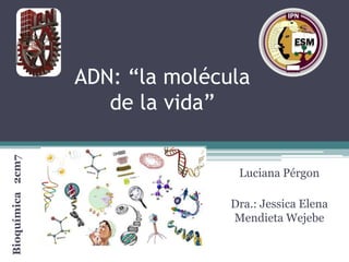 Bioquímica 2cm7

ADN: “la molécula
de la vida”
Luciana Pérgon
Dra.: Jessica Elena
Mendieta Wejebe

 