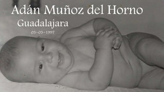 Adán Muñoz del Horno
Guadalajara
05~05~1997
 