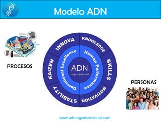 Modelo ADNPROCESOSPERSONAS