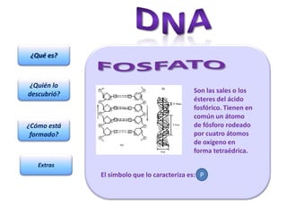 ¿Qué es?



 ¿Quién lo
descubrió?                                  Son las sales o los
                                            ésteres del ácido
                                            fosfórico. Tienen en
                                            común un átomo
¿Cómo está                                  de fósforo rodeado
 formado?                                   por cuatro átomos
                                            de oxígeno en
                                            forma tetraédrica.
   Extras
             El símbolo que lo caracteriza es: P
 