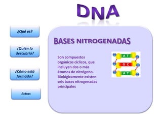 ¿Qué es?



 ¿Quién lo
descubrió?
             Son compuestos
             orgánicos cíclicos, que
             incluyen dos o más
¿Cómo está   átomos de nitrógeno.
 formado?    Biológicamente existen
             seis bases nitrogenadas
             principales
   Extras
 
