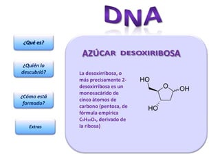 ¿Qué es?



 ¿Quién lo
descubrió?   La desoxirribosa, o
             más precisamente 2-
             desoxirribosa es un
             monosacárido de
¿Cómo está
             cinco átomos de
 formado?
             carbono (pentosa, de
             fórmula empírica
             C5H10O4, derivado de
   Extras    la ribosa)
 