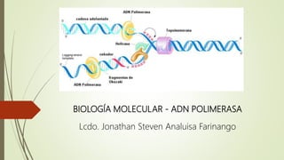 BIOLOGÍA MOLECULAR - ADN POLIMERASA
Lcdo. Jonathan Steven Analuisa Farinango
 