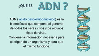 ADN ( ácido desoxirribonucleico) es la
biomolécula que compone al genoma
de todos los seres vivos y de algunos
tipos de virus.
Contiene la información necesaria para
el origen de un organismo y para que
el mismo funcione.
¿QUE ES
ADN ?
ADN ?
 