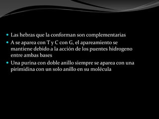  Las hebras que la conforman son complementarias
 A se aparea con T y C con G, el apareamiento se
mantiene debido a la acción de los puentes hidrogeno
entre ambas bases
 Una purina con doble anillo siempre se aparea con una
pirimidina con un solo anillo en su molécula
 